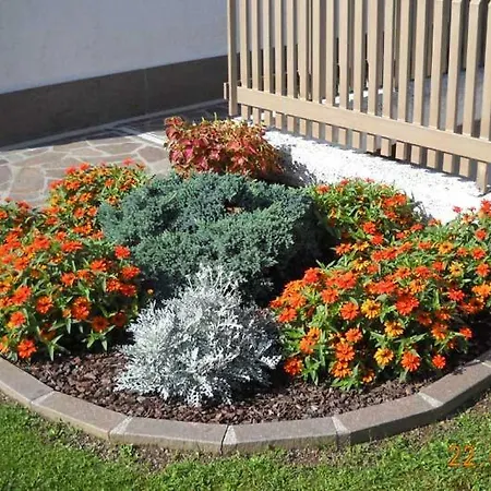 ベッド・アンド・ブレックファスト L'isola Delle Rose