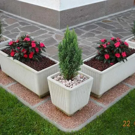 L'isola Delle Rose לינה וארוחת בוקר