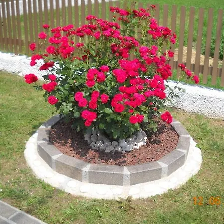 L'isola Delle Rose Oda ve Kahvaltı *