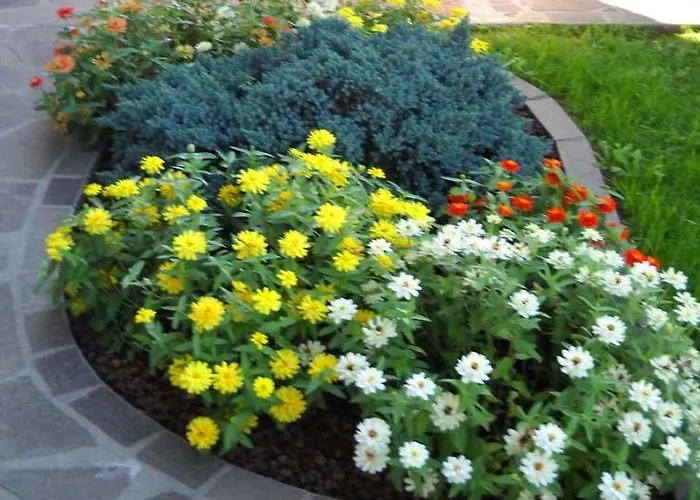 L'isola Delle Rose *