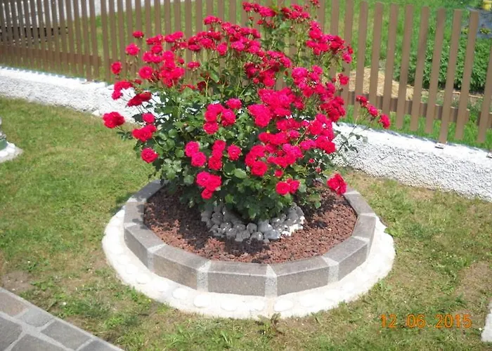 L'isola Delle Rose Frühstückspension *