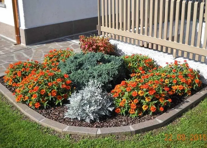 Frühstückspension L'isola Delle Rose