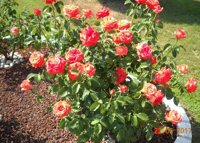 L'isola Delle Rose Frühstückspension *